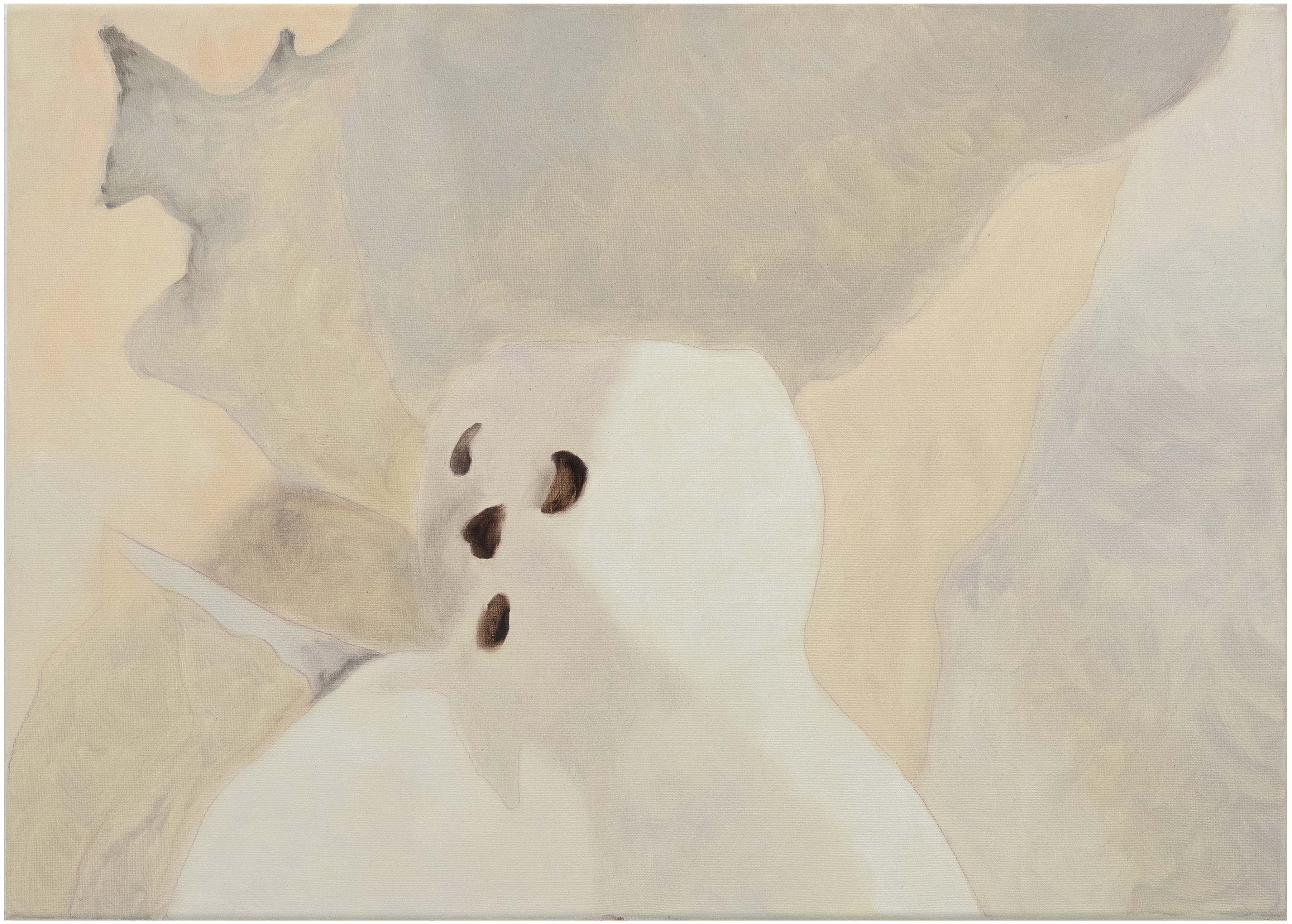 Sébastien Bonin, Bonhomme de neige I, 2026, oil on canvas, 50 x 70 cm