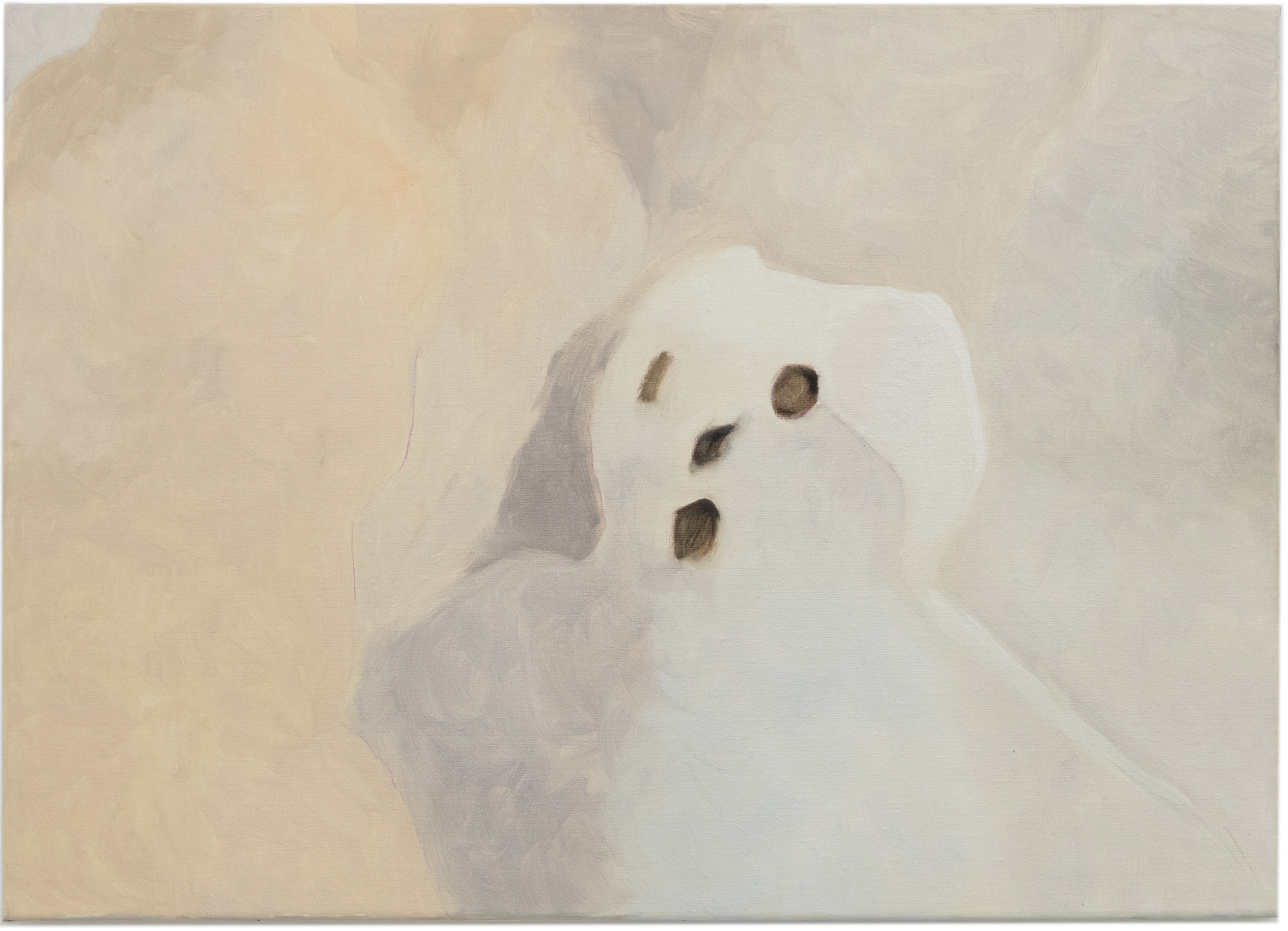 Sébastien Bonin, Bonhomme de neige II, 2026, oil on canvas, 50 x 70 cm