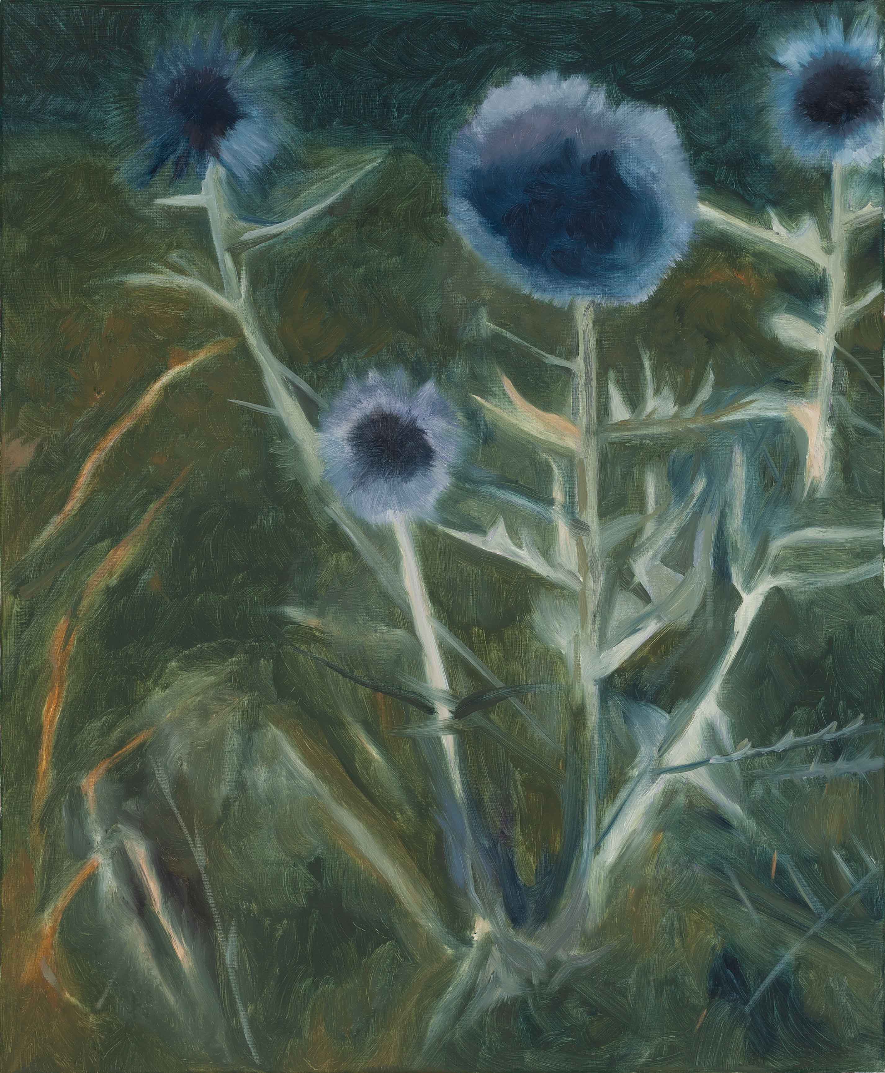 Sébastien Bonin, Chardon, 2025, oil on canvas, 46 x 55 cm