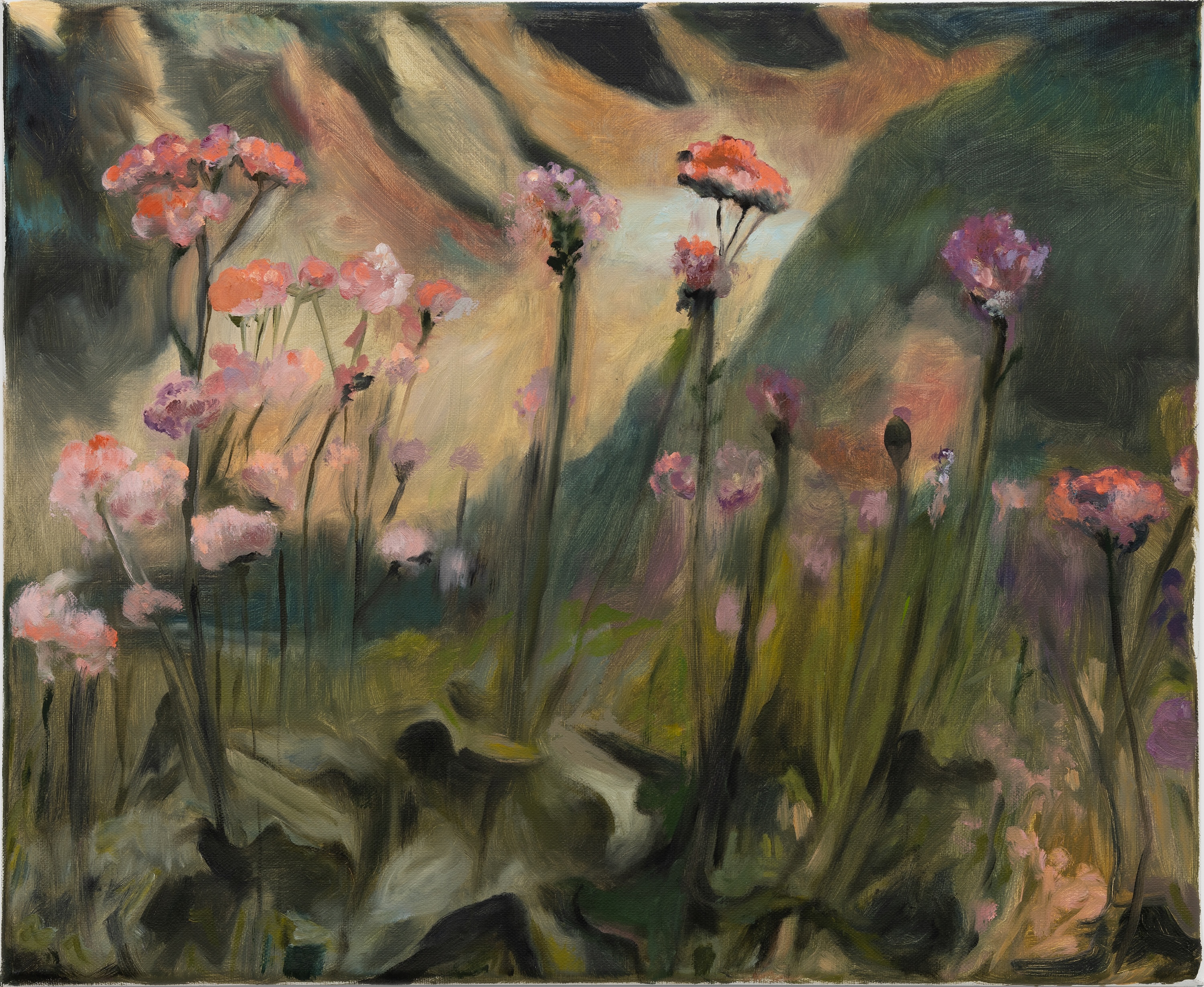 Sébastien Bonin, Fleurs de montagne, 2025, oil on canvas, 46 x 55 cm